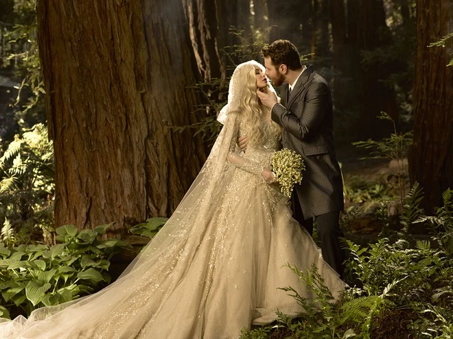  Những đám cưới đình đám trong làng công nghệ ảnh 9