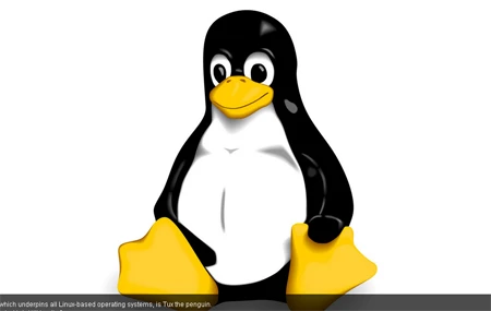 linh vật, logo, TripAdvisor, Firefox, Twitter, Xiaomi linh vật, logo, TripAdvisor, Firefox, Twitter, Xiaomi