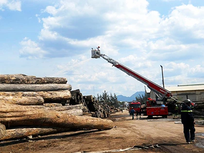 Cháy lớn tại khu chứa gỗ trong cảng Quy Nhơn ảnh 5
