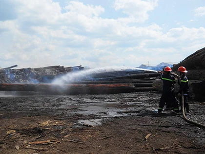 Cháy lớn tại khu chứa gỗ trong cảng Quy Nhơn ảnh 7