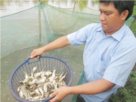 Thất bài từ nghề nuôi thỏ, năm 2009 anh Bằng quyết định chuyển sang nuôi rắn ri voi trong vèo cước