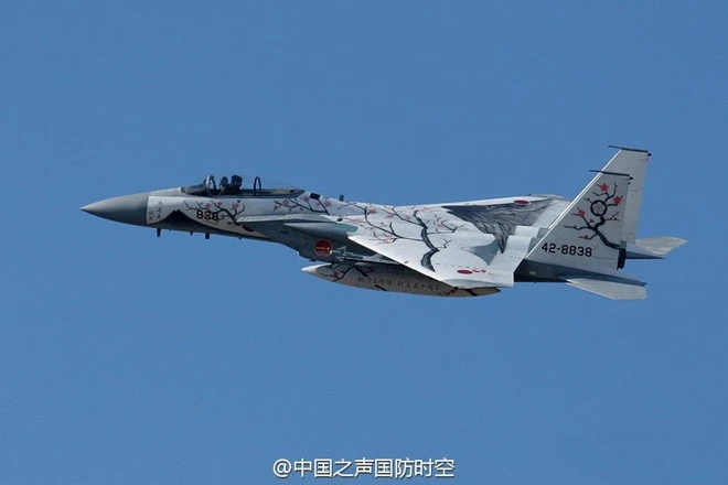 Tiêm kích F-15J sơn màu hoa anh đào tuyệt đẹp ảnh 2 u