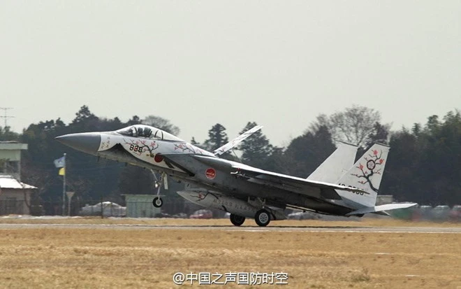Tiêm kích F-15J sơn màu hoa anh đào tuyệt đẹp ảnh 5 y