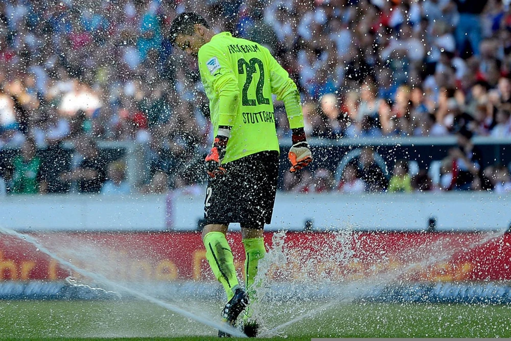 Những hình ảnh hài hước, khó quên nhất làng thể thao năm 2014 ảnh 6