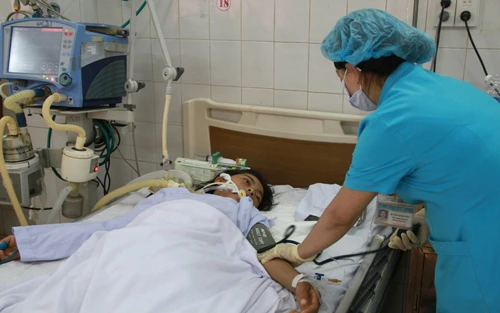 Ba mẹ con nguy kịch vì ngộ độc cá nóc ảnh 1