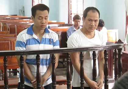 Sập bẫy lừa xin việc vào cơ quan nhà nước ảnh 1