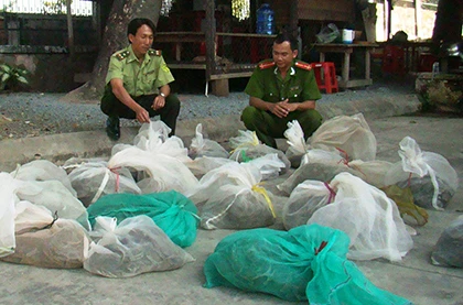 Phát hiện 14 con trăn bị nuôi nhốt trái phép ảnh 1