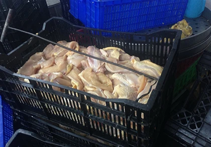 Hàng ngàn kg nguyên liệu chế biến giò chả không rõ nguồn gốc ảnh 2