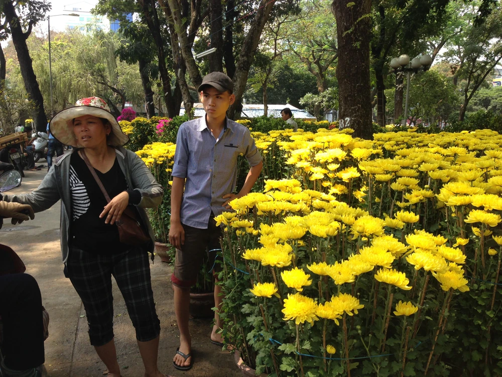 Giá cả các loại hoa tết Ất Mùi 2015 ảnh 5