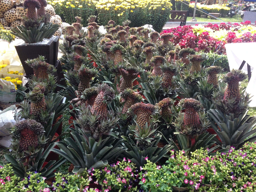 Giá cả các loại hoa tết Ất Mùi 2015 ảnh 7