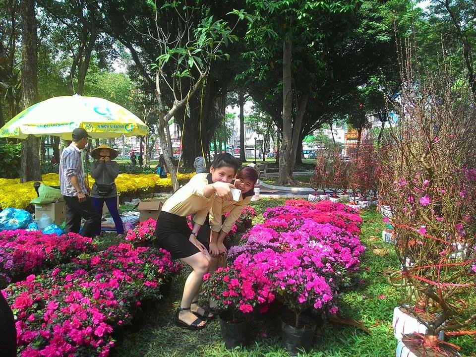 Giá cả các loại hoa tết Ất Mùi 2015 ảnh 16