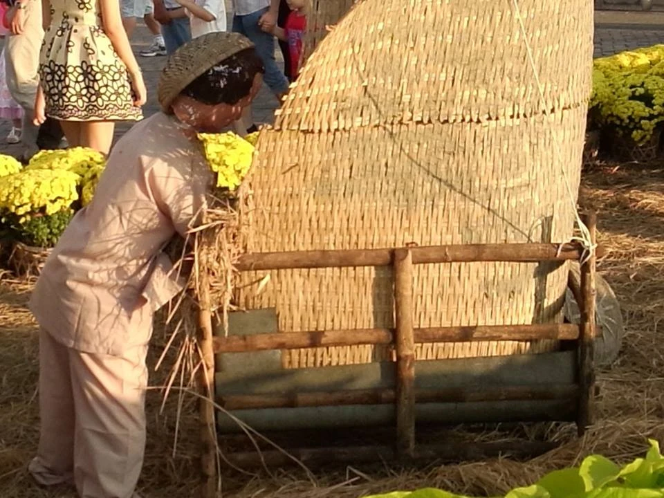 Đi thăm “làng quê xuân” giữa thành phố…nhà giàu ảnh 2