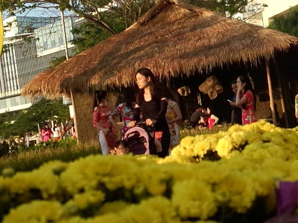 Đi thăm “làng quê xuân” giữa thành phố…nhà giàu ảnh 11