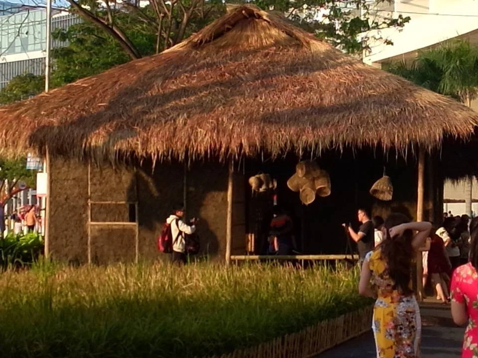 Đi thăm “làng quê xuân” giữa thành phố…nhà giàu ảnh 12