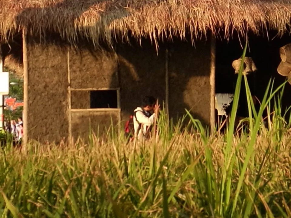 Đi thăm “làng quê xuân” giữa thành phố…nhà giàu ảnh 13