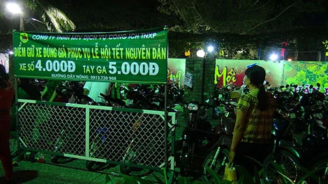 Sài Gòn tưng bừng đón mừng năm mới tết Ất Mùi ảnh 6