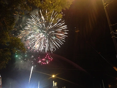 Sài Gòn tưng bừng đón mừng năm mới tết Ất Mùi ảnh 31