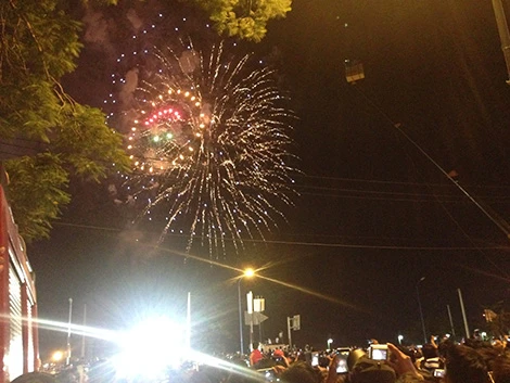 Sài Gòn tưng bừng đón mừng năm mới tết Ất Mùi ảnh 33