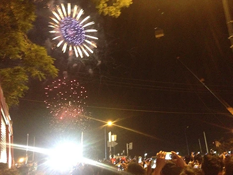 Sài Gòn tưng bừng đón mừng năm mới tết Ất Mùi ảnh 35