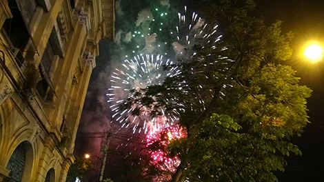 Sài Gòn tưng bừng đón mừng năm mới tết Ất Mùi ảnh 28