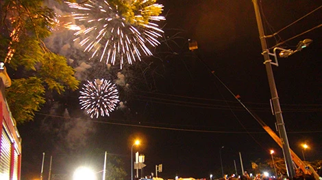 Sài Gòn tưng bừng đón mừng năm mới tết Ất Mùi ảnh 29