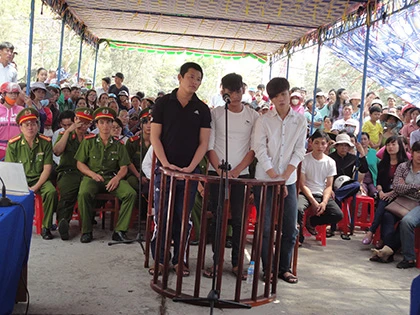 Người dân leo cây xem tòa xử vụ cầm 'kho' hung khí chém người ảnh 2 Người dân leo cây xem tòa xử vụ cầm 'kho' hung khí chém người ảnh 2