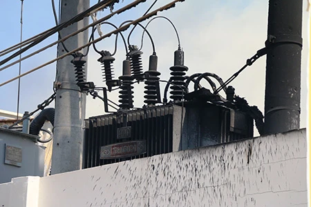 Cháy công ty thủy sản, mất trắng hàng trăm tấn cá ảnh 2