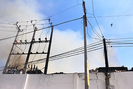 Cháy công ty thủy sản, mất trắng hàng trăm tấn cá ảnh 3