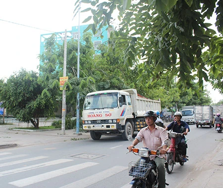 Xe ben, xe bồn, container ngang nhiên đi vào đường cấm ảnh 9