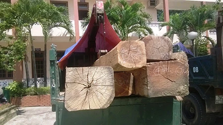 Cảnh cáo, xử phạt 45 triệu Hạt trưởng kiểm lâm mua gỗ lậu ảnh 1
