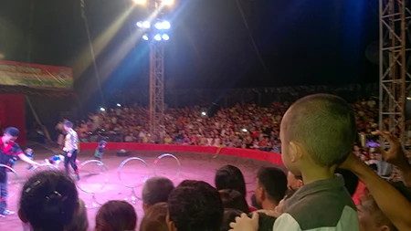 Thông tin tiếp vụ sập khán đài rạp xiếc khiến nhiều người bị thương ảnh 1