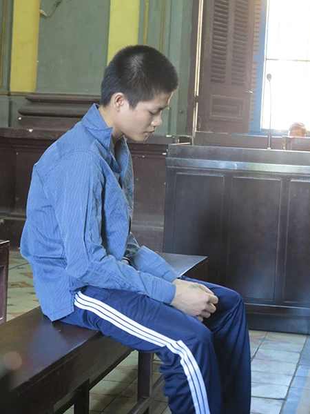 Hiếp dâm bé gái vì được nhờ trông giúp ảnh 1