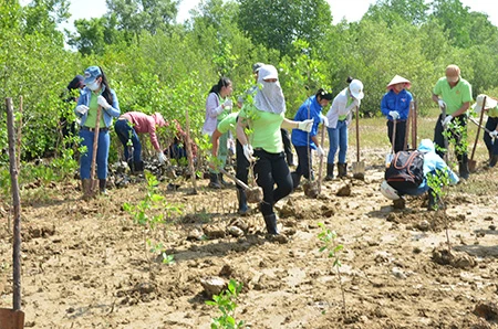 Trồng hơn 10.000 cây mới tại rừng phòng hộ Cần Giờ ảnh 1