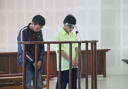 Lãnh án vì trộm 28 tấm thiếc ảnh 1