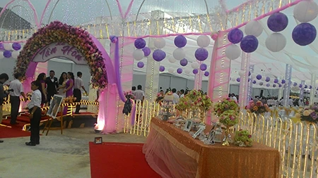 Xôn xao đám cưới công tử Bạc Liêu thời nay ảnh 7