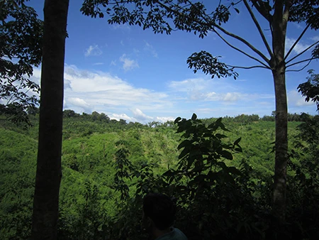 Thanh tra Chính phủ kết luận sai phạm quản lý đất tại Bình Phước ảnh 2