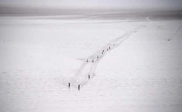 Những hình ảnh thể thao ấn tượng nhất năm 2015 (phần 2) ảnh 3