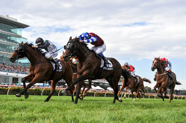 Những hình ảnh thể thao ấn tượng nhất năm 2015 (phần 2) ảnh 23