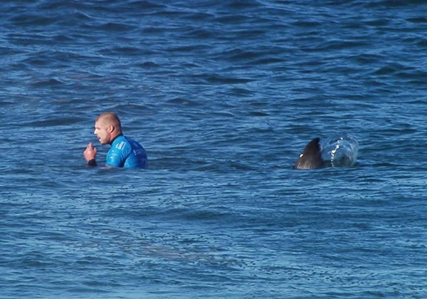 Những hình ảnh thể thao ấn tượng nhất năm 2015 (phần 2) ảnh 25