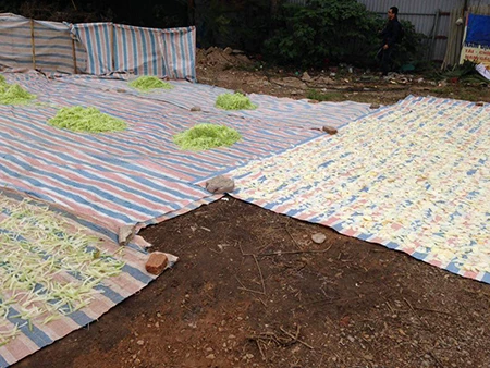 Kinh hoàng cơ sở phơi mứt tết gần nhà vệ sinh ảnh 1