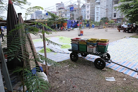 Kinh hoàng cơ sở phơi mứt tết gần nhà vệ sinh ảnh 2