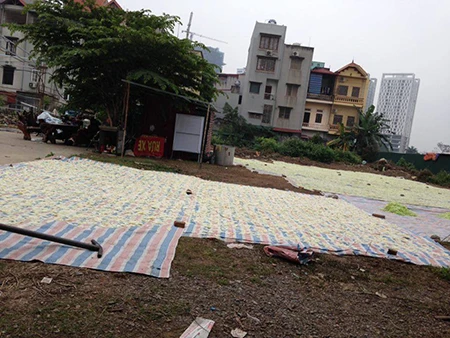 Kinh hoàng cơ sở phơi mứt tết gần nhà vệ sinh ảnh 3