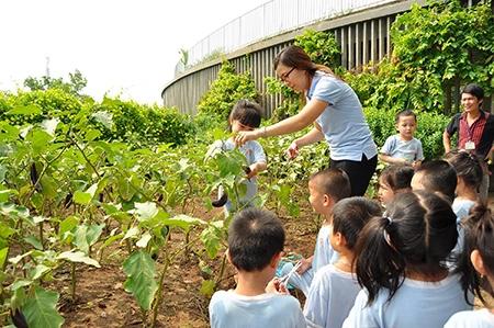 Hiện thực ngôi trường vào top 30 công trình đẹp nhất thế giới ảnh 22