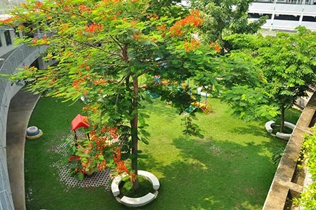 Hiện thực ngôi trường vào top 30 công trình đẹp nhất thế giới ảnh 12