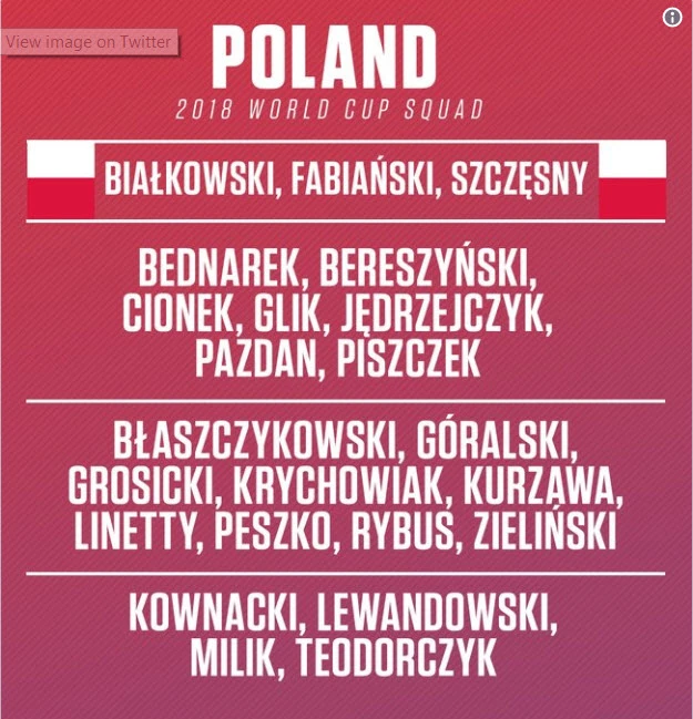 Danh sách chính thức 32 đội tuyển dự World Cup 2018 ảnh 14