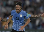 Fan MU trút giận lên Cavani