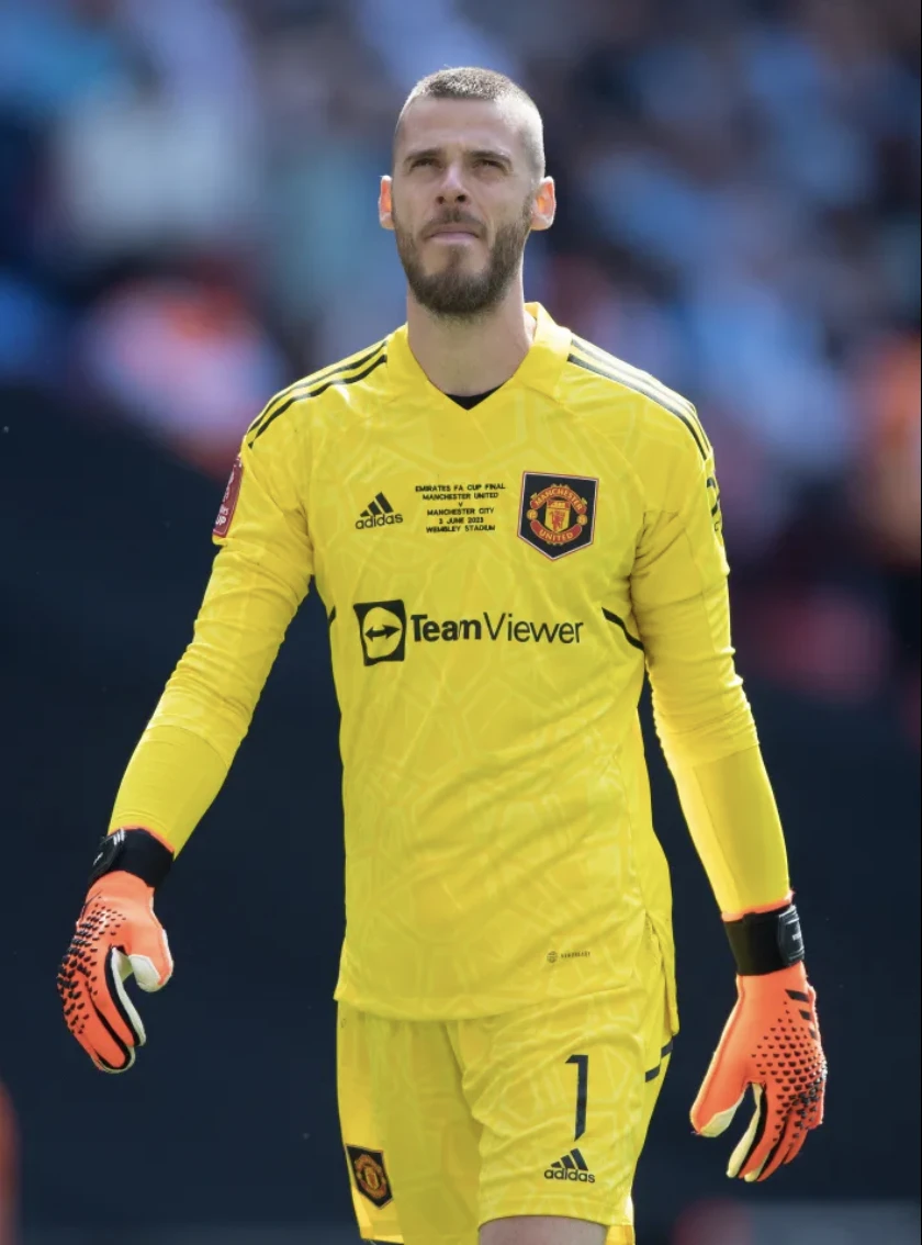 manchester-united-de-gea.png