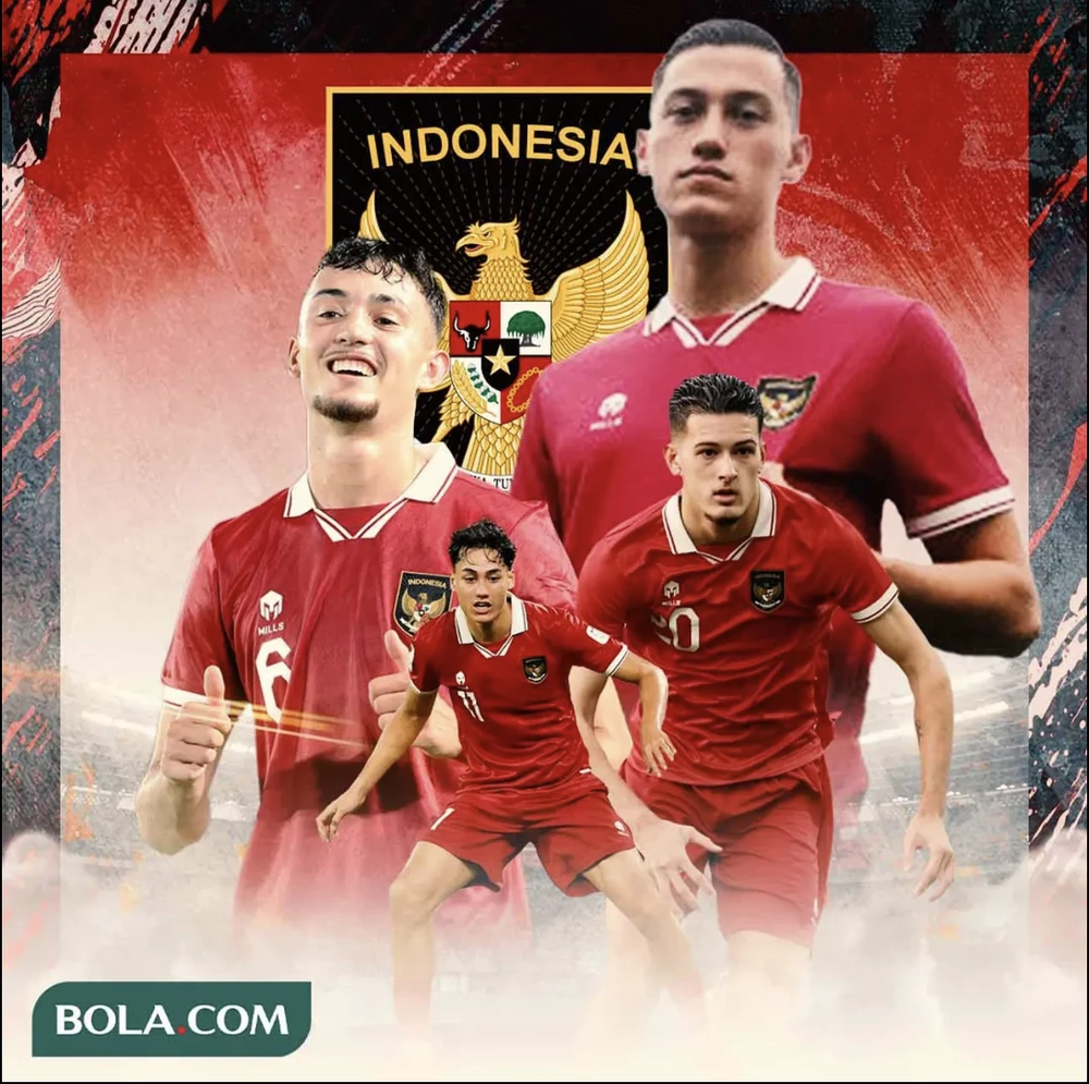 Việt Nam, Indonesia