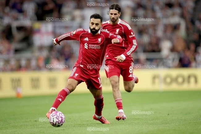 Cân tài cân sức