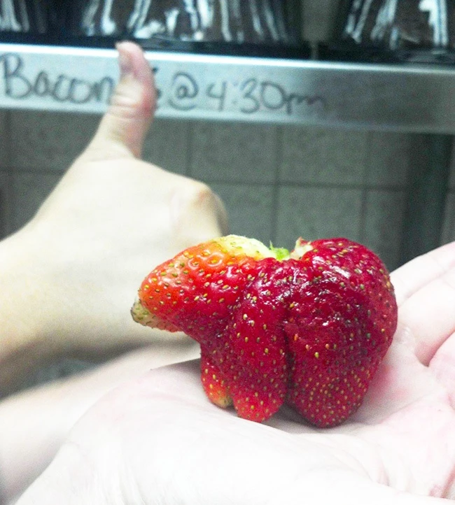 Tròn mắt vì tạo hình kỳ diệu của củ quả tự nhiên ảnh 16